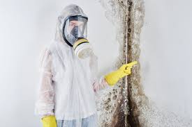 Professional Mold Prevention & Removal  in Northumberland, PA